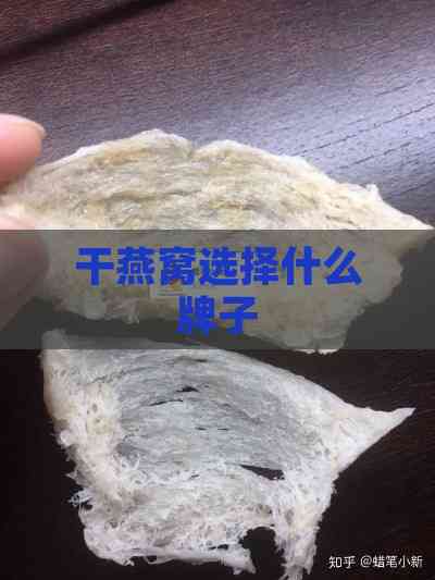 干燕窝选择什么牌子