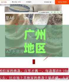 广州地区推荐：各大进口燕窝品质对比与选购指南