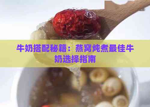 牛奶搭配秘籍：燕窝炖煮更佳牛奶选择指南