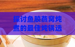 探讨鱼胶燕窝炖煮的更佳炖锅选择与烹饪技巧