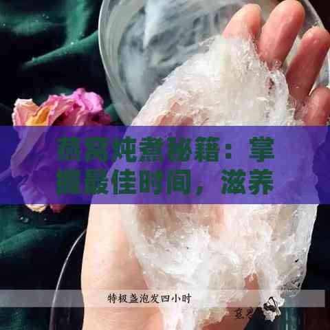 燕窝炖煮秘籍：掌握更佳时间，滋养身心