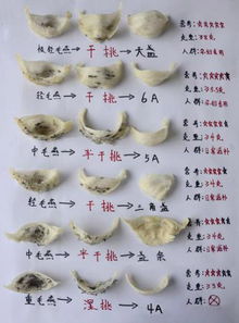 燕窝品级解析：白燕的级别、特点及其在燕窝市场中的定位