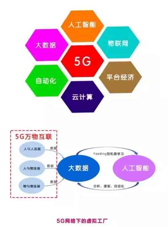 '深度解析：挑选顶级燕窝品质的五大关键因素'