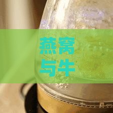 燕窝与牛奶搭配指南：挑选更佳纯牛奶及炖煮技巧全解析