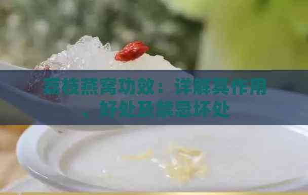 荔枝燕窝功效：详解其作用、好处及禁忌坏处