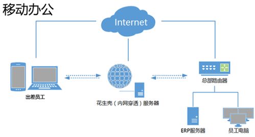 全方位指南：大量燕窝采购的完整流程与注意事项