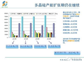 揭秘印尼燕窝：广东老板是谁？行业现状与市场影响全面解析