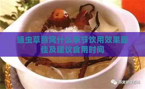 蛹虫草燕窝什么季节饮用效果更佳及建议食用时间