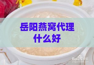 岳阳燕窝代理什么好