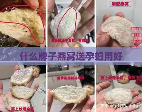 什么牌子燕窝送孕妇用好