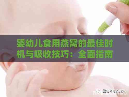 婴幼儿食用燕窝的更佳时机与吸收技巧：全面指南助力宝宝健康成长