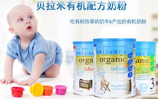 金燕窝风味婴幼儿配方奶粉，哪款口感更佳？