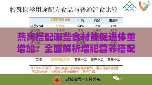 燕窝搭配哪些食材能促进体重增加：全面解析增肥营养搭配方案