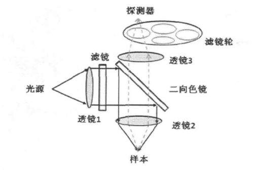 过滤燕窝漏勺原理是什么意思及含义详解