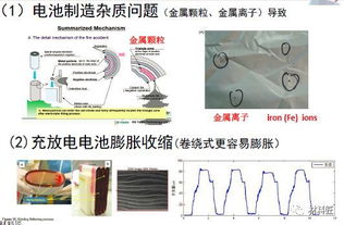 燕窝浓缩技术是什么原理呢：揭秘其提取与精华保留机制