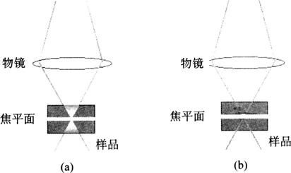 燕窝浓缩技术是什么原理呢：揭秘其提取与精华保留机制