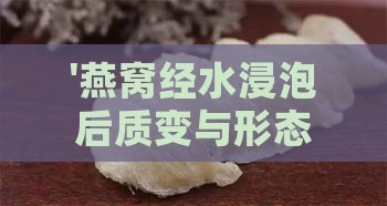 '燕窝经水浸泡后质变与形态解析'