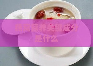 燕窝营养关键成分是什么