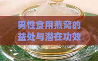 男性食用燕窝的益处与潜在功效：全面解析燕窝对男性健康的促进作用