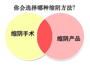 探究长期食用燕窝的利与弊：全面分析其对健康的长期影响