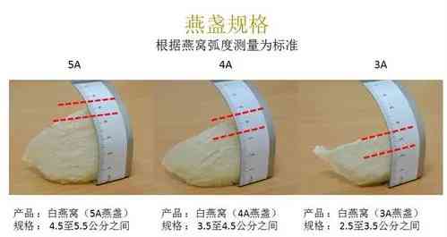 燕窝等级鉴别攻略：全面解析燕窝品质与挑选技巧