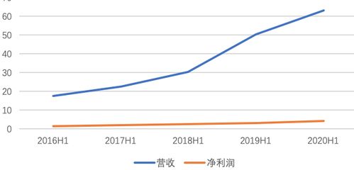 燕窝批发价格一览：如何确定更具市场竞争力的销售价格？