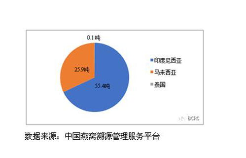 全面揭秘：正规进口燕窝溯源指南与品质保障解析