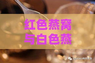 红色燕窝与白色燕窝的营养价值、功效对比及选购指南