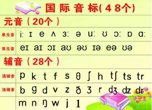 燕窝字母代表什么含义呢怎么读及正确读音方法