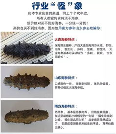 燕窝海参属于什么类别：产品、食物及行业归属解析