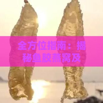 全方位指南：揭秘鱼胶燕窝及其他热门滋补补品功效与选择