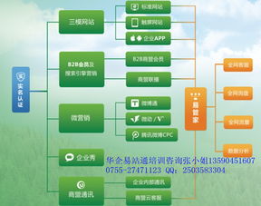 燕窝推广有什么渠道好做的：工作与策略一览