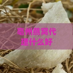 亳州燕窝代理什么好