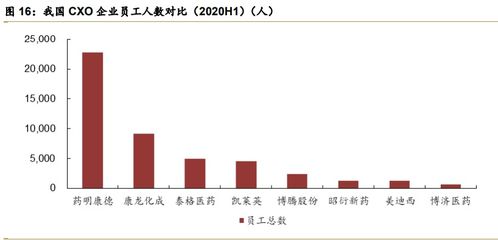 燕窝在药材市场中的地位与作用：全面解析其市场潜力与发展趋势