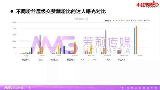 揭秘达人：探寻其独特魅力与市场地位