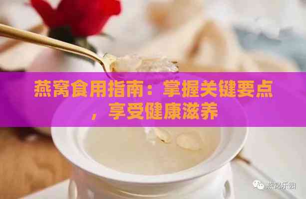 燕窝食用指南：掌握关键要点，享受健康滋养