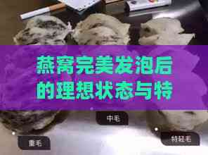 燕窝完美发泡后的理想状态与特征展示