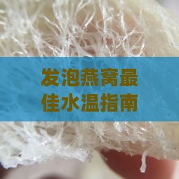 发泡燕窝更佳水温指南：不同燕窝类型与水质选择详解