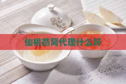 仙桃燕窝代理什么好