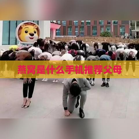 燕窝是什么手机推荐父母