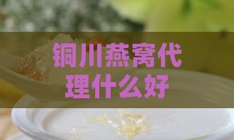 铜川燕窝代理什么好