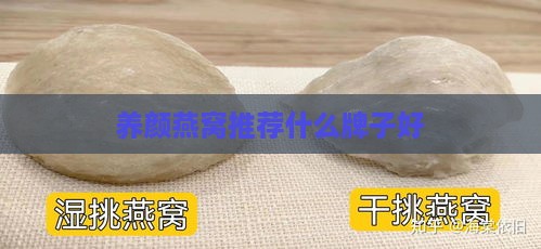 养颜燕窝推荐什么牌子好