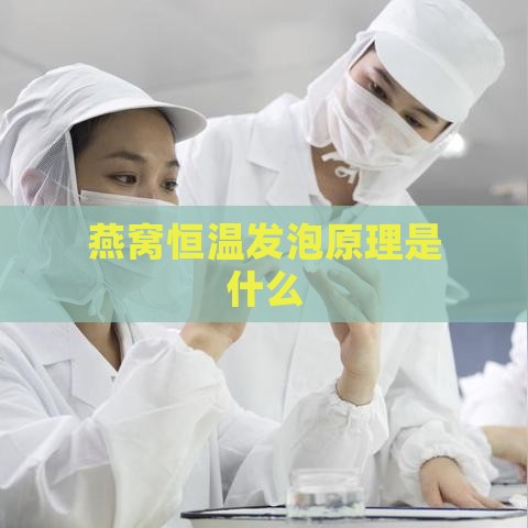 燕窝恒温发泡原理是什么