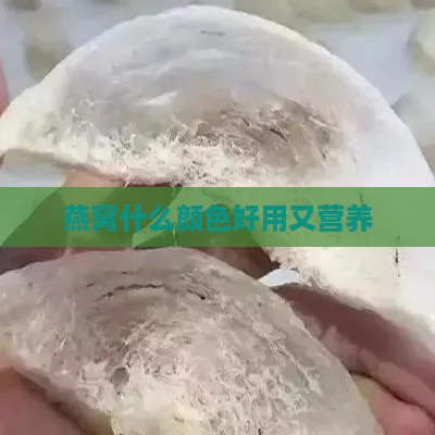 燕窝什么颜色好用又营养