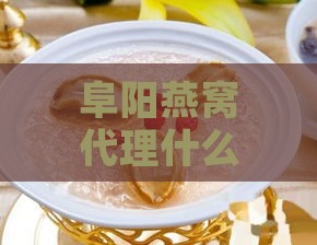 阜阳燕窝代理什么好