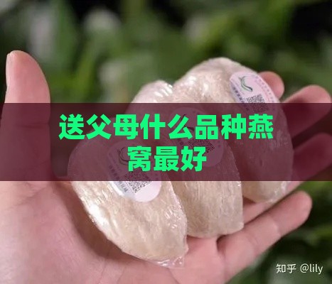 送父母什么品种燕窝更好