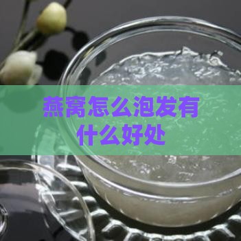 燕窝怎么泡发有什么好处