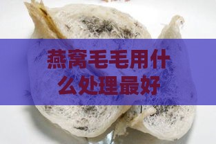 燕窝毛毛用什么处理更好