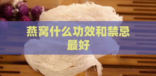 燕窝什么功效和禁忌更好