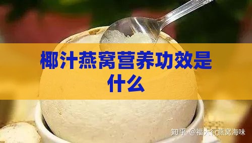 椰汁燕窝营养功效是什么